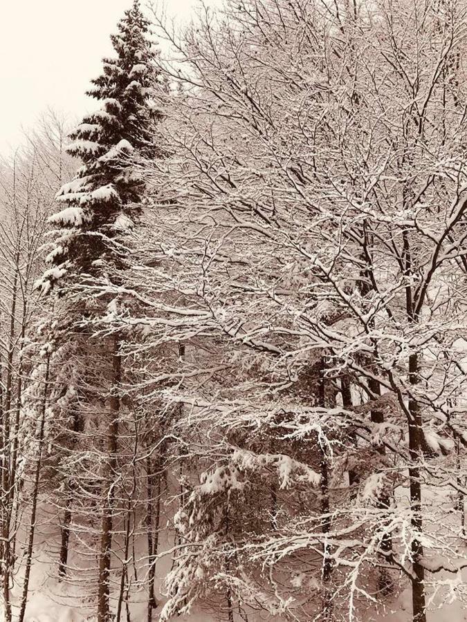 Apartmán 16 Romantika Chopok Juh Tále Exteriér fotografie